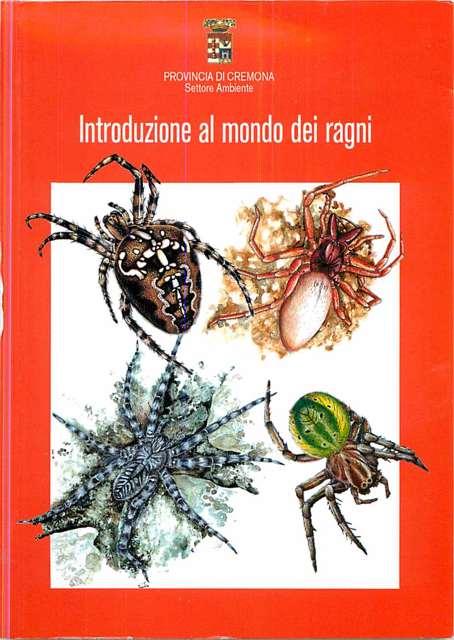 Copertina libro Introduzione al mondo dei ragni