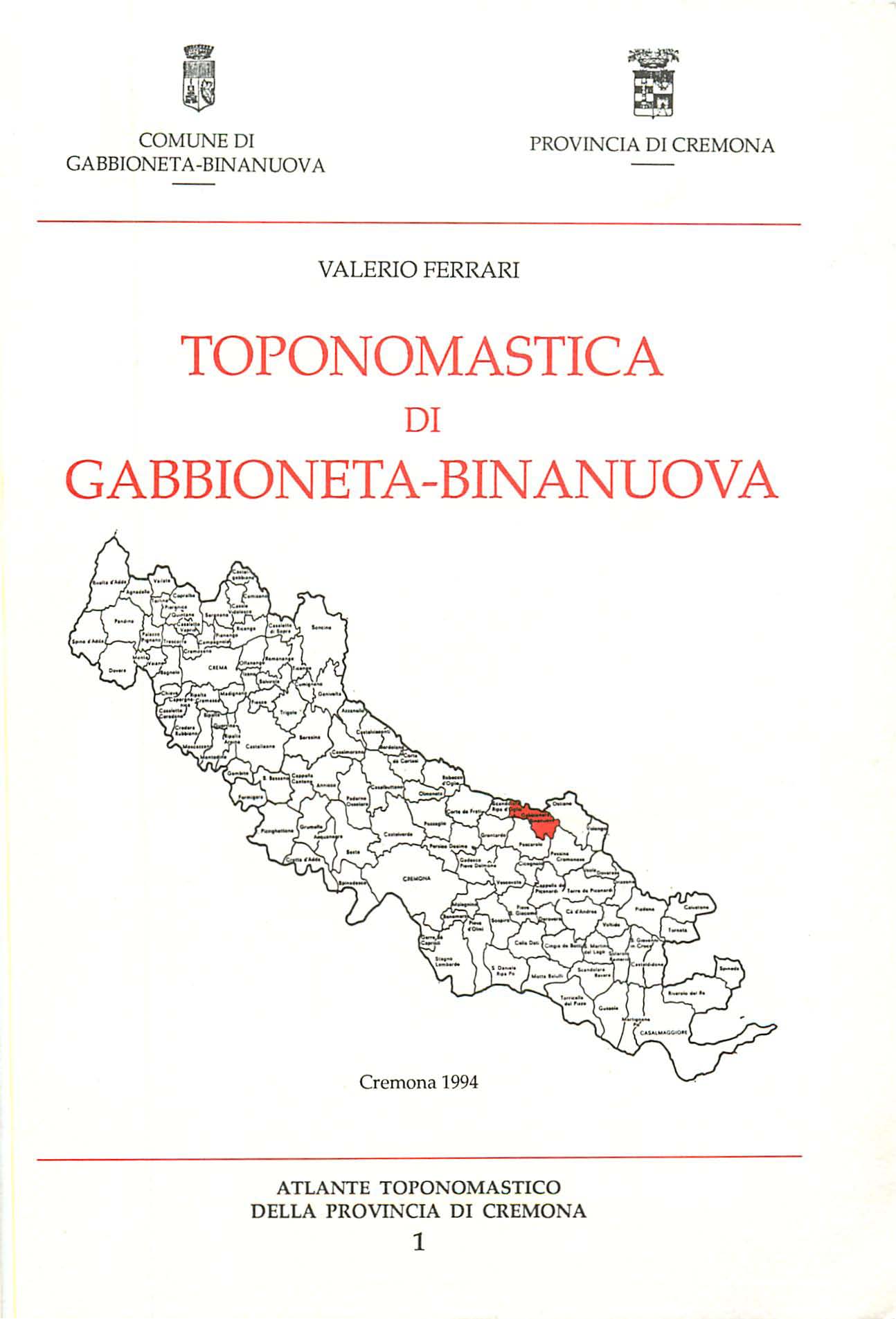 Copertina libro Gabbioneta Binanuova